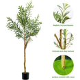 thumbnail image 4 of Olive Artificial Silk Tree Faux Potted Olive Silk Tree with Planter Large Faux Olive Branches and Fruits Artificial Tree for Modern Home Office Living Room Floor Decor Indoor (2Packs 5FT), 4 of 5