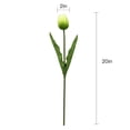 thumbnail image 2 of Set of 6 Real Touch Artificial Tulip Stems, 20 inches Tall, 2 of 2