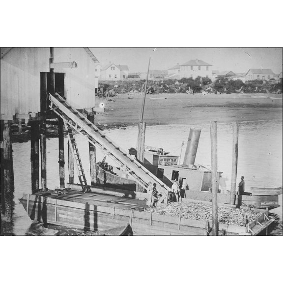 24"x36" Gallery Poster, Metlakahtla fishermen delivering salmon William Duncan cannery