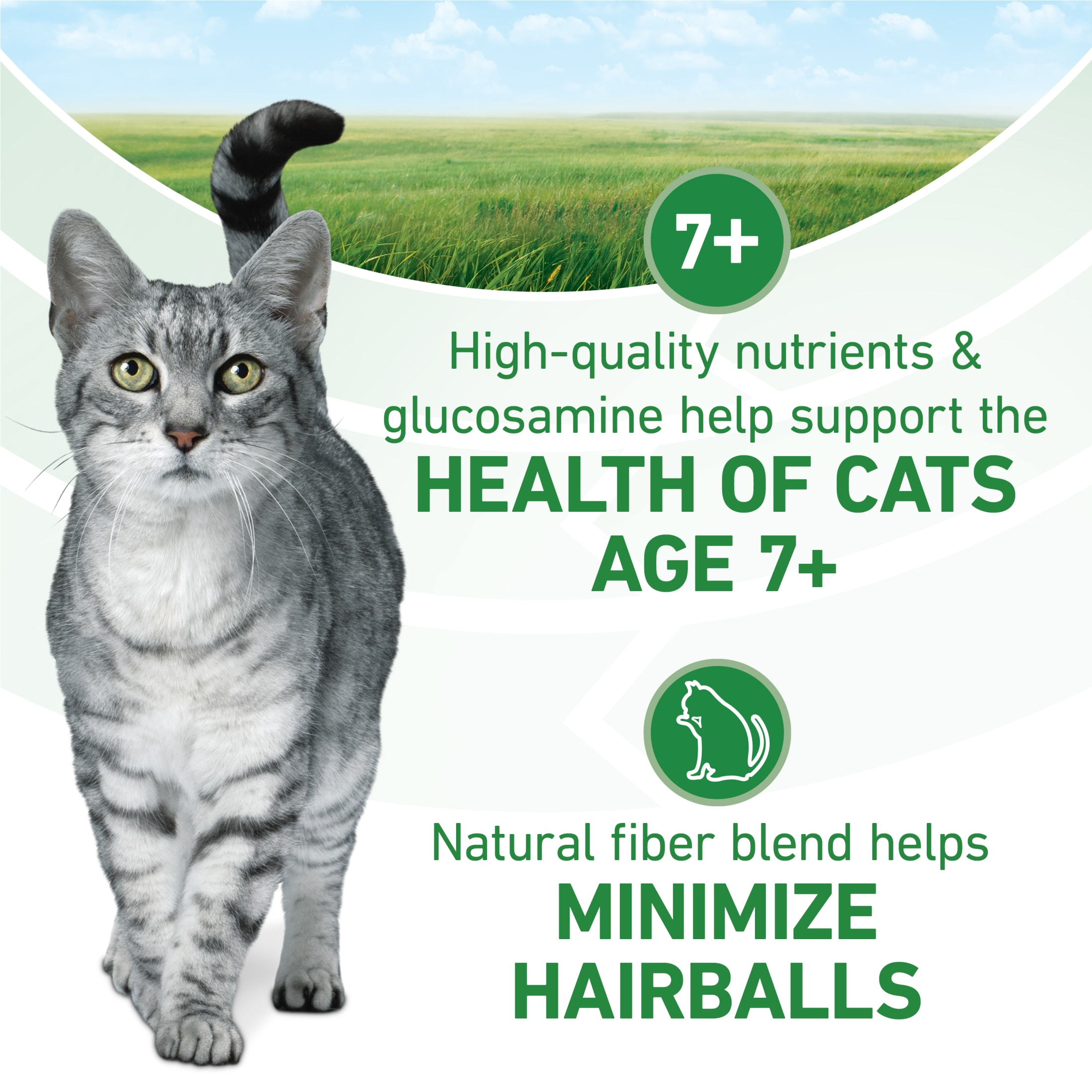 Purina ONE Plus Indoor Advantage Senior Chicken Dry Cat Food, 7 lb photo 4