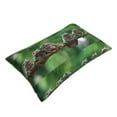 thumbnail image 3 of Bixox Australian White Tree Frog Printed Pillow Protector,Super Soft Ideal for Home,Guests,Rentals - 16"x24", 3 of 8