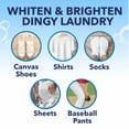 thumbnail image 2 of OxiClean White Revive Laundry Whitener and Stain Remover Powder 3 lb - Pack of 2, 2 of 5