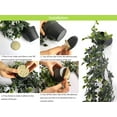 thumbnail image 4 of Eucalipto y enredadera de mandala, plantas colgantes artificiales con texturas detalladas para la decoración de la habitación del hogar, decoración multiusos fácil de cuidar ideal para espacios, 4 of 6