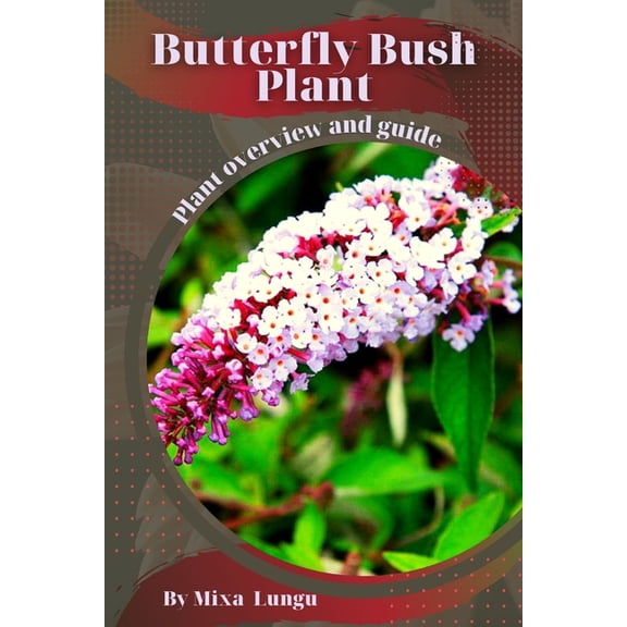 Butterfly Bush Plant: Plant overview and guide, (Paperback)