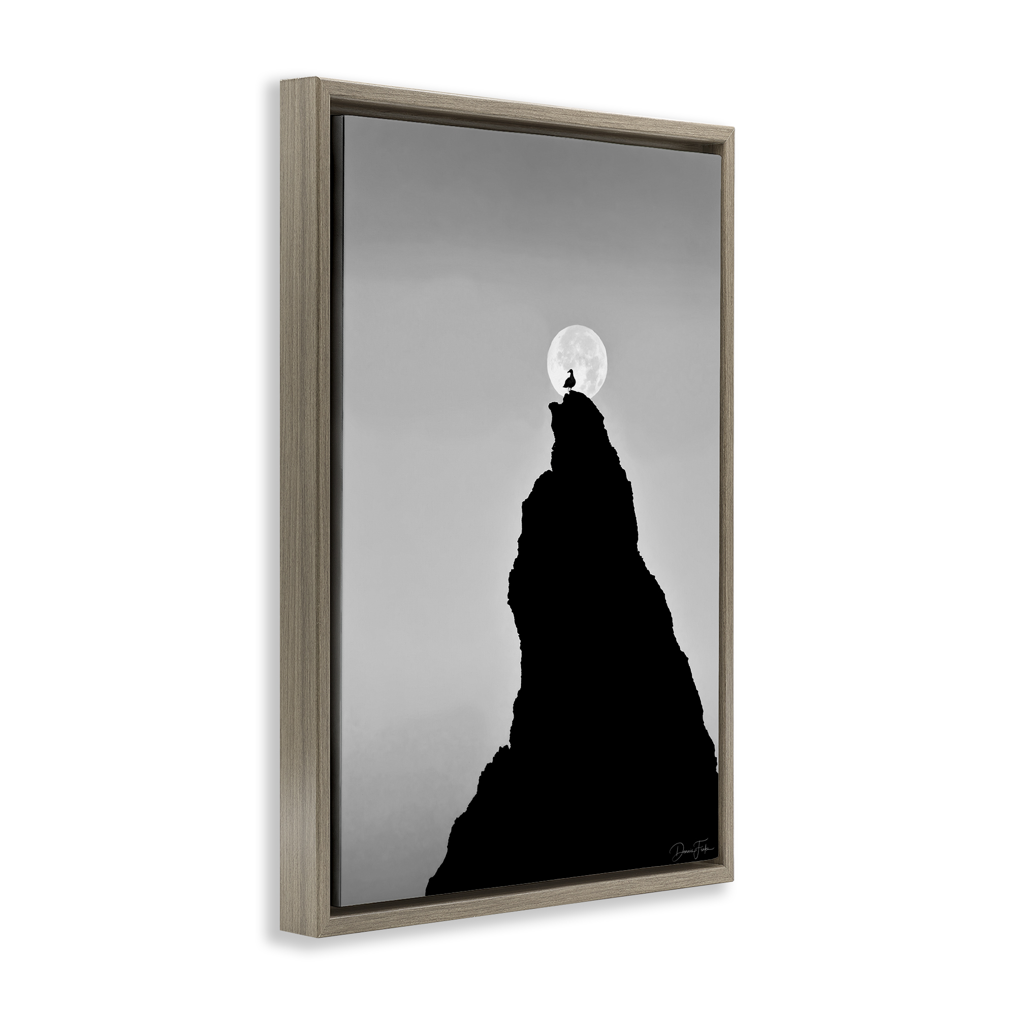 Stupell Industries Bird Silhouette on Peak Landscape Photography Brown Floater Framed Art Print Wall Art, 21 x 31