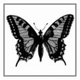 thumbnail image 2 of Vision Studio 12x12 White Modern Wood Framed Museum Art Print Titled - Custom Classical Butterfly I, 2 of 4
