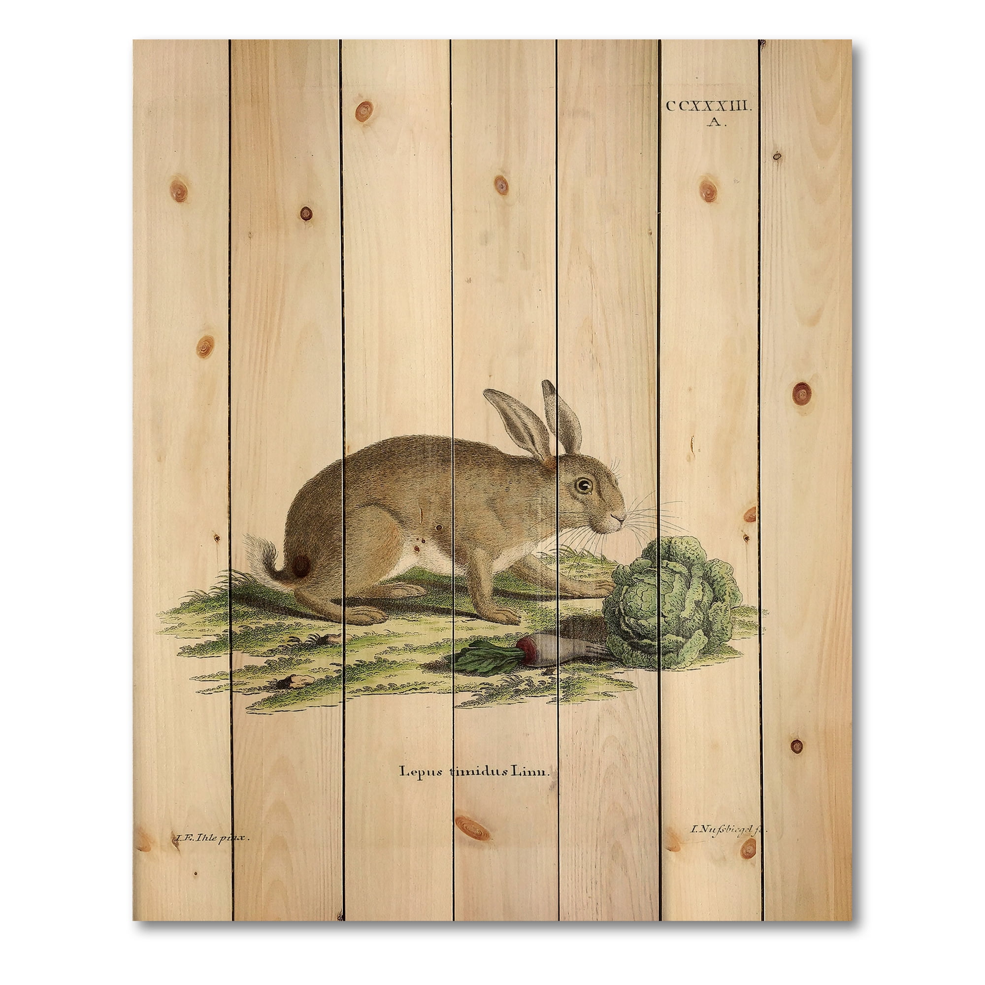 Designart 'Ancient Rabbits In Earth Tones' Farmhouse Print on Natural Pine Wood
