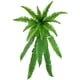 thumbnail image 2 of Hierba persa artificial, pequeñas hojas persas, flores artificiales, ramo de hojas de helecho, plantas artificiales para decoración del hogar, 2 of 3