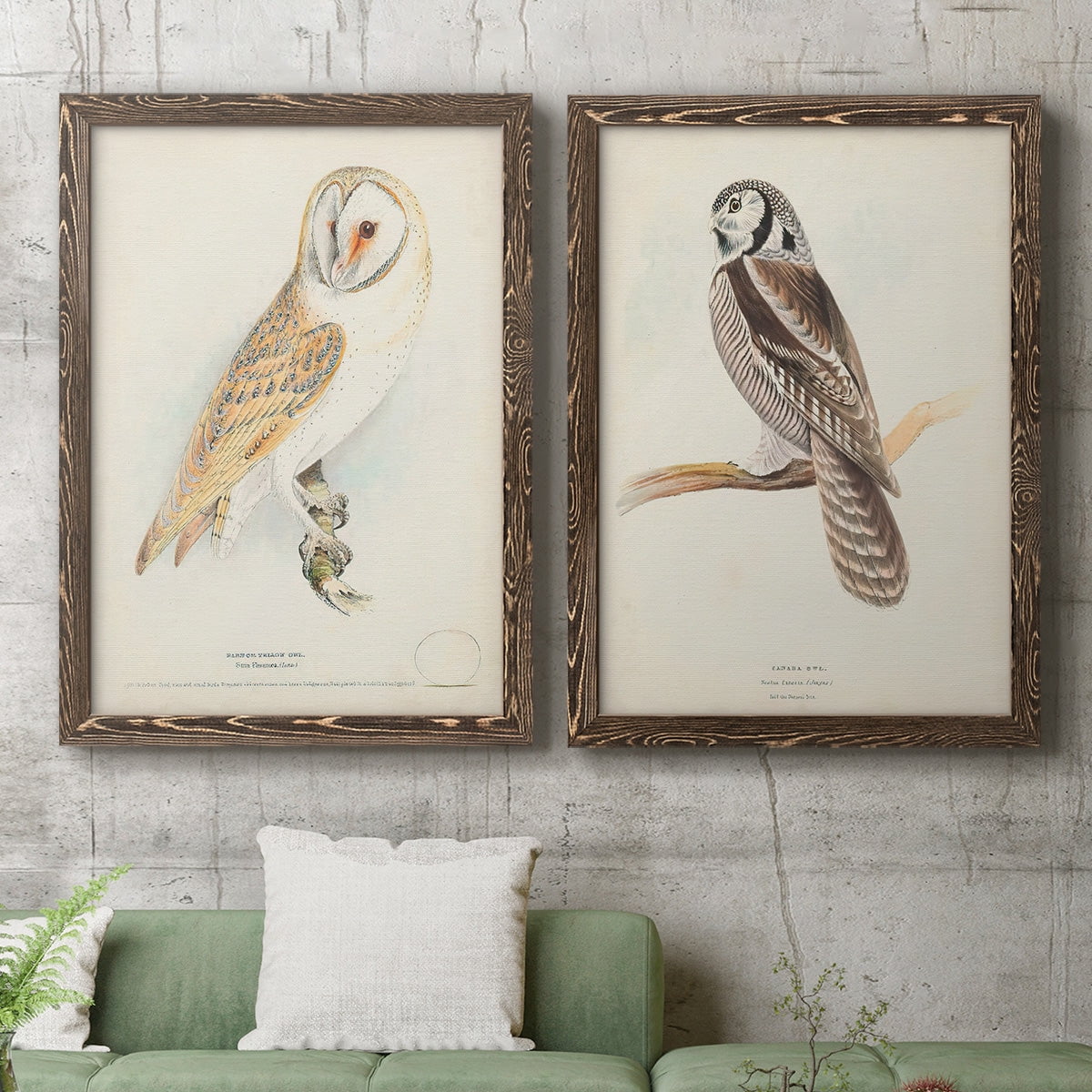 Barn Owl - Premium Framed Canvas 2 Piece Set - Ready to Hang