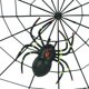thumbnail image 1 of BRIGHTFUFU Spider Decorations Realistic Fake Spider with Web, 1 of 2