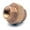 Brass, variant on Midland Industries 44606DLF 1.25 in.  Brass Union