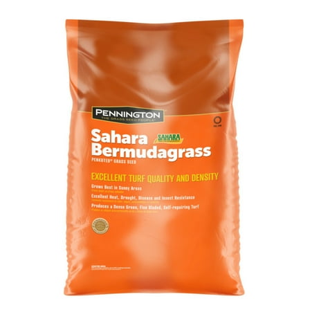 Pennington Bermudagrass NuMex Sahara Penkoted Grass Seed Unhulled 50lb