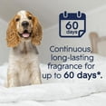 thumbnail image 2 of Glade Recharge d'Huile Désodorisante PET Plugins®, Compagnon CleanTM, 2 of 5
