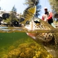 thumbnail image 4 of Cebo biónico para peces, cebo biónico de múltiples segmentos, múltiples segmentos, cebo para peces, múltiples segmentos, señuelo para peces, diseño elevado, 4 of 11