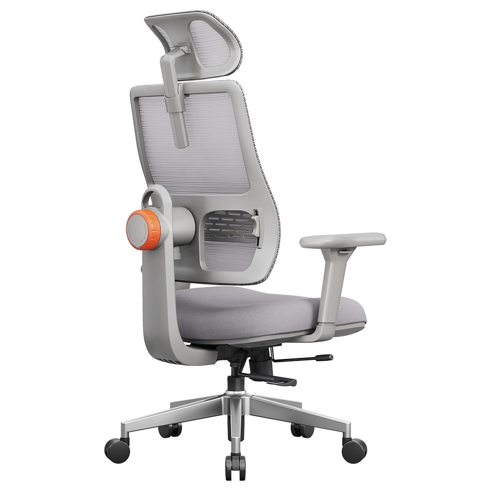 Ergonomic Office Chair – Adaptive Lumbar Support, Multifunctional Adjustments & Certified Comfort NEWTRAL MAGICH003