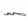 thumbnail image 2 of DOMELAY Scary Fake Snake Toy Educational Toy Gift Creative Fun Versatile Halloween Snake Brown, 2 of 9