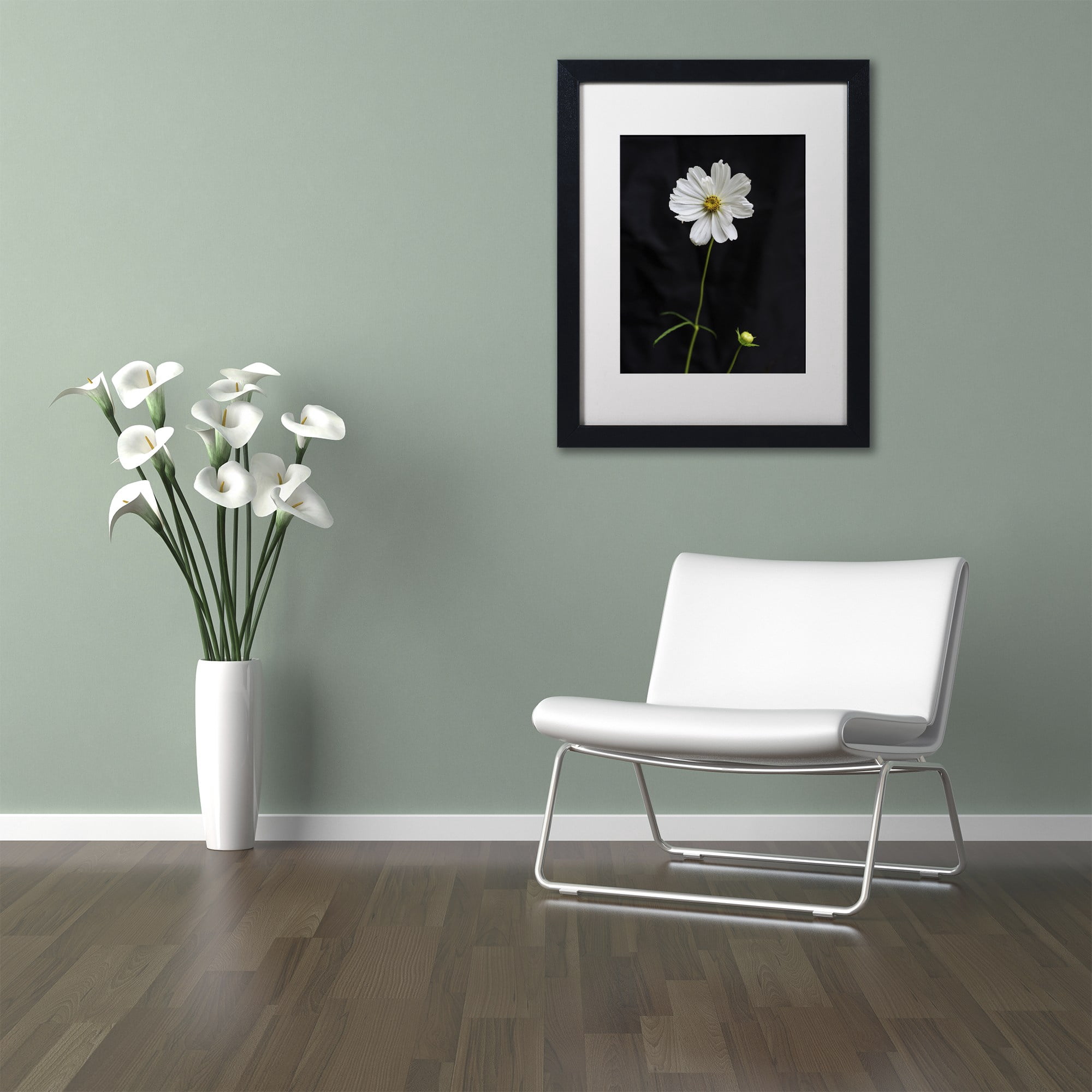 Trademark Fine Art "White Cosmos on Black" Canvas Art by Kurt Shaffer, White Matte, Black Frame