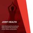 thumbnail image 5 of Protocol For Life Balance - Liquid Glucosamine and Chondroitin with MSM - Supports Joint Mobility and Comfort in Easy to Swallow Liquid Format - Citrus Flavor - 16 Fl oz (473 mL), 5 of 8