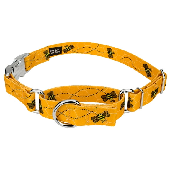 Country Brook Petz® Busy Bee Martingale Dog Collar with Premium Buckle, Extra Large