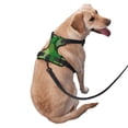 thumbnail image 2 of Fotbe Green Flower Pattern Dog Harness, No-Pull Pet Harness with 2 Leash Clips, Adjustable Soft Padded Dog Vest with Easy Control Handle for Large Dogs-X-Large, 2 of 6