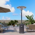 thumbnail image 4 of Pamapic 48000 BTU Gray Propane Freestanding Patio Heater with Cover, 4 of 8