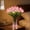 Pink, variant on Radiant Romantic Tulip Light, Twinkling Tree Tulips, 15 PCS Twinkling LED Tulips That Never Fade, Flower Shaped Ambient Night Lamp for Bedroom Bedside Home Decor and Holiday Gift