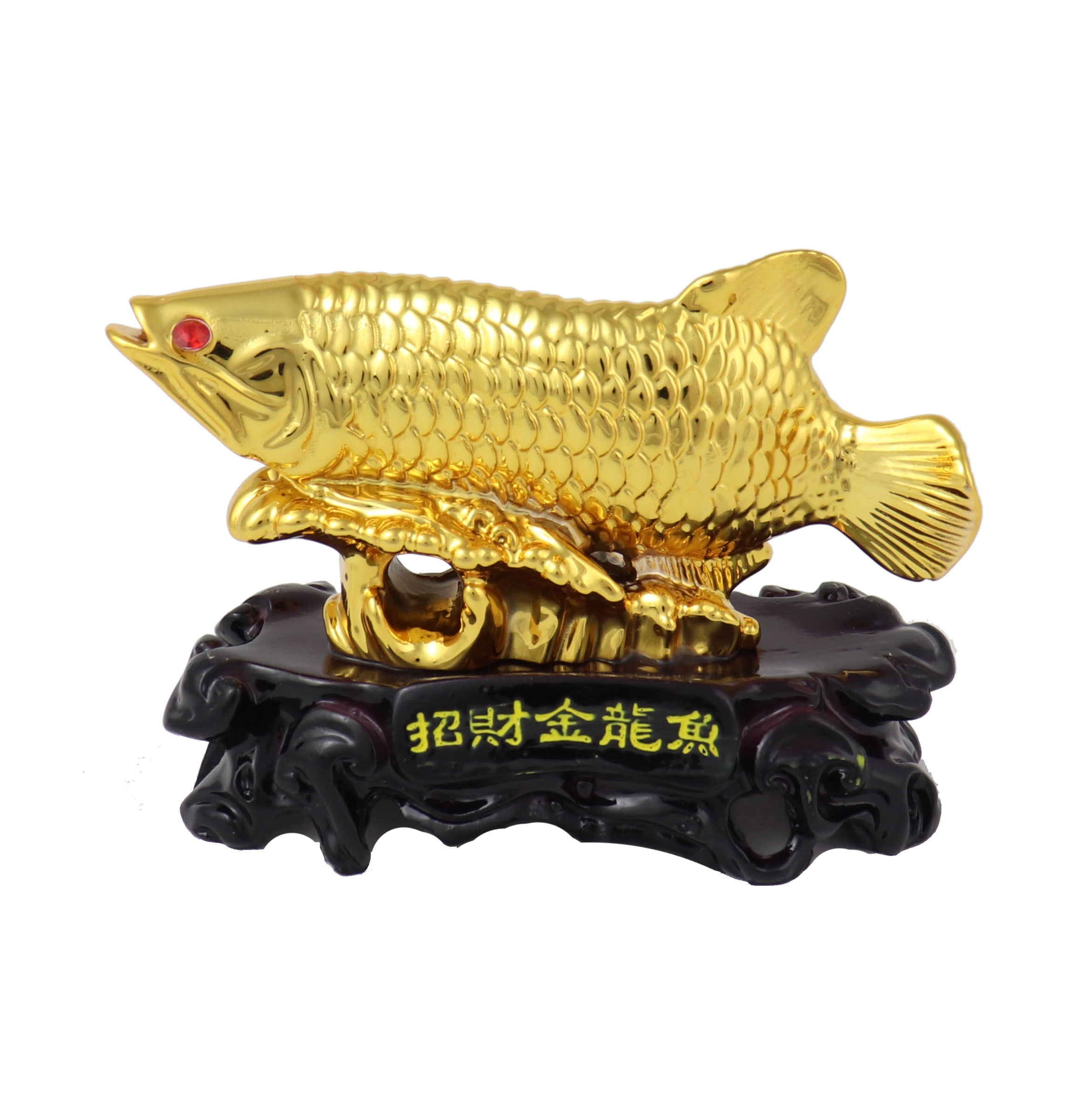 arowana fish feng shui