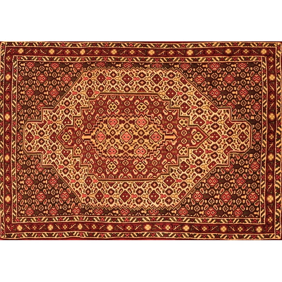 Ahgly Company Indoor Rectangle Persian Orange Traditional Area Rugs, 5' x 8'