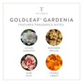 thumbnail image 4 of Recambios para difusores Thymes Goldleaf Gardenia Pura Smart Home, 4 of 6