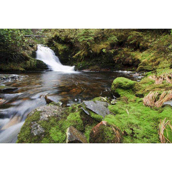 Small Cascade On Institute Creek Wrangell Island Alaska Canvas Art - Quentin Smith  Design Pics (17 x 11)