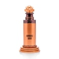 thumbnail image 2 of Perfume Paris Corner Zahri Caramel Bash EDP, 100 ml, unisex, 2 of 8