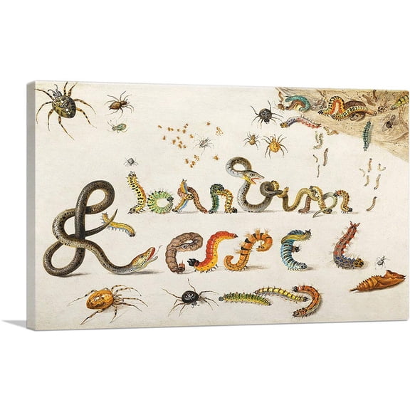 ARTCANVAS Garden And House Spiders Grass Snakes Caterpillars To Spell The Artist's Name Canvas Art Print by Jan Van Kessel Elder - Size: 26" x 18" (0.75" Deep)