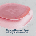 thumbnail image 4 of Dreamroo Silicone Divided Suction Plate, Baby and Toddler for Ages 6 months+, BPA Free, Microwave & Dishwasher Safe, Pink, 4 of 8