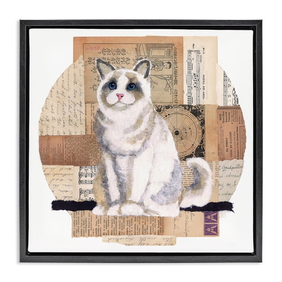 Stupell Industries Eclectic Vintage Collage Cat Black Floating Frame Canvas Art, 18 x 18, by Nancy Overton