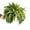 A, variant on Clearance! Boovnll Fake Plants, Realistic Artificial Boston Fern, 24 Fronds Persian Grass Artificial Plants Indoor, Outdoor, Home, Garden, Porch, Window, Spring Decor, Fake Plant