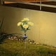 thumbnail image 2 of Luces Solares LED Decorativas Para Jardín Con Forma De Flor, Encendido Y Apagado Automático, Ideales Para Caminos, Patios Y Jardines., 2 of 9