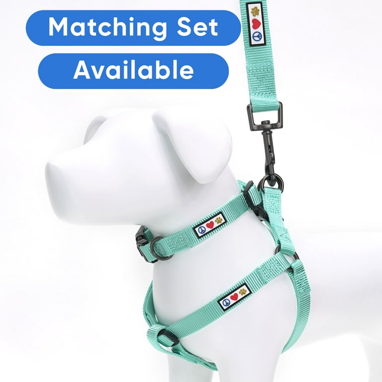 Pawtitas Dog Collar for Extra Small Dogs Training Puppy Collar with Solid XS Teal Walmart