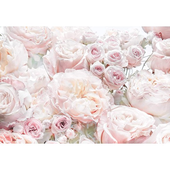 Komar Spring Roses Wall Mural, 8-976