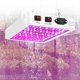 thumbnail image 3 of 1000w 216 llevó la lámpara de la planta crece la lámpara las plantas de interior del espectro completo crecen la luz de la planta de la lámpara, 3 of 5