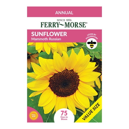 Ferry-Morse Economy 10G Sunflower Mammoth Russian Annual Flower Seeds, Full Sun