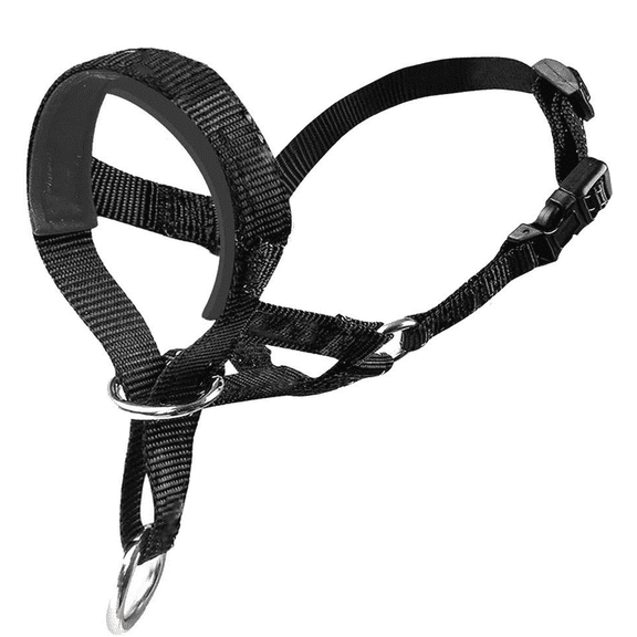 GASTROPOD 2026 New Dog Leash Effective Training Tool No Pull Dog Collar Comfortable Fit Reflective Dog Collar for Walking Training Outing Black