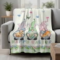 thumbnail image 2 of Easter Blanket Soft Cozy Warm Twin Blanket for Bed, Plush Fuzzy Flannel Fleece Blankets for Sofa, Spring Gnomes Floral Bunny Eggs Green Lattice Throw Blankets for Couch, Gifts for Men, 60"x80", 2 of 9