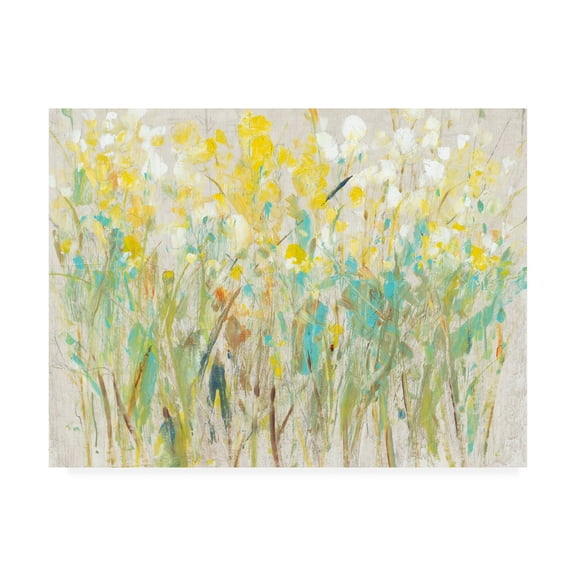 Trademark Fine Art 'Floral Cluster I' Canvas Art by Tim OToole