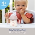 thumbnail image 4 of Chicco 7oz. Silicone Spout Transition Sippy Cup, 4m+ - Blush, 4 of 8