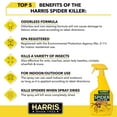 thumbnail image 3 of Harris Spider Killer, Liquid Spray with Odorless and Non-Staining Formula 32oz, 2-Pack, 3 of 7