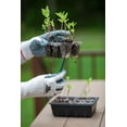 thumbnail image 2 of Gardzen 10 Pack Push-Up Seed Starting Tray, Pop Up Plant Germination Trays, Starter Kit with Adjustable Humidity Vented Dome, 6.6" x 4.5", Total 120-Cell, Clear, 2 of 4