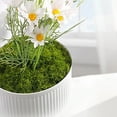 thumbnail image 2 of 0.07lb Artificial Moss for Planters Fresh Green Fake Moss Décor for Potted Plants Crafts Floral Centerpieces Wedding Garden, Light Green, Artificial Plants and Flowers, 2 of 9