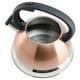 thumbnail image 4 of Hervidor de té Mr. Coffee Flintshire de acero inoxidable 1,75 L, 4 of 6