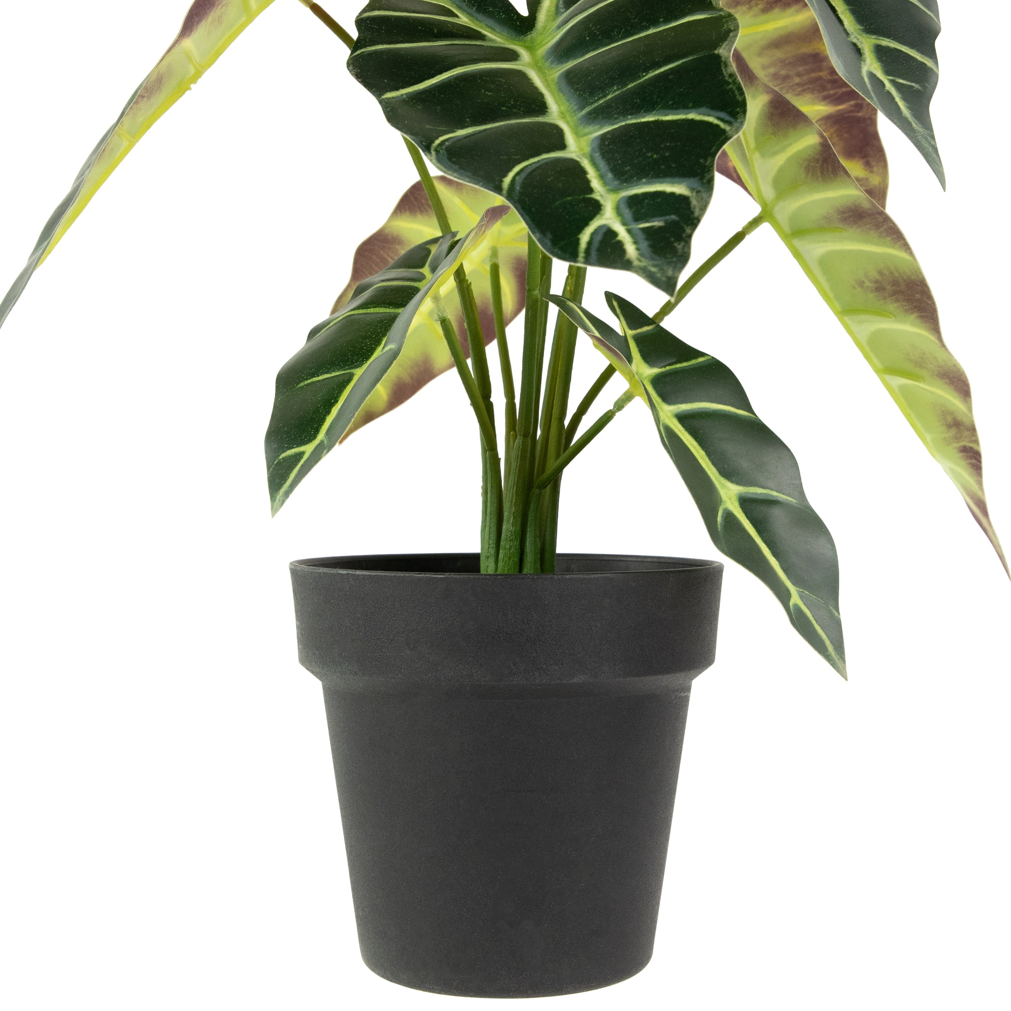 Northlight Real Touch™ Artificial Taro Plant in Black Pot 18"