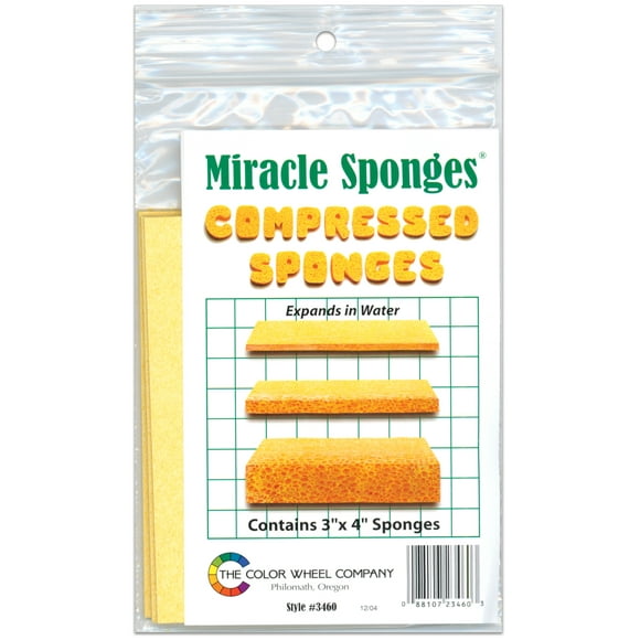 Éponges Miracle à Roue Colorée Éponges Compressées 4/Pkg-3"X4" A100
